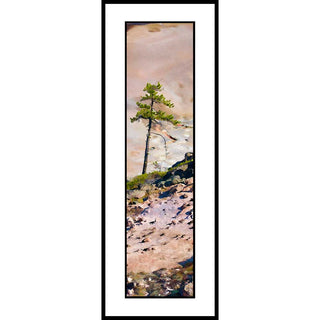 A small conifer against pink rock in the Yellowstone Canyon in Yellowstone National Park.  Pink Rock Tree by Alison Thomas of Serenity Scenes Photography and Digital Art.