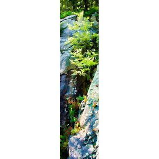 Discover the beauty of nature with our Rock Tree - Vertical Panorama. This unique tree thrives in the most unlikely place - a rocky crevice.  Rock Tree by Alison Thomas of Serenity Scenes Photography and Digital Art.