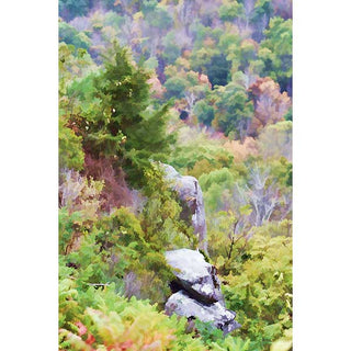 Large rocks, actually part of the mountain, surrounded by trees including a large spruce tree. Some trees in the background have fall foliage.  Rocks and Pine by Alison Thomas of Serenity Scenes Photography and Digital Art.