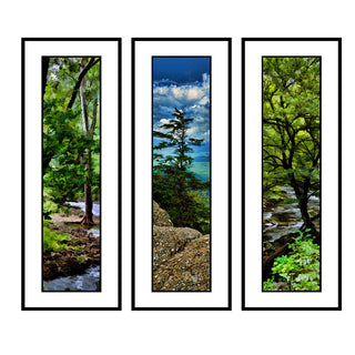 Smoky Mountains- Vertical Panorama Grouping