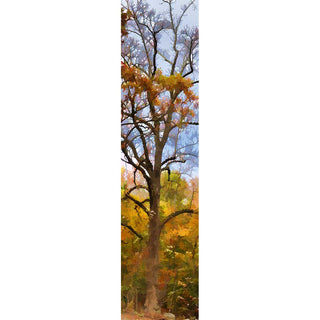 An autumn tree with yellow, orange, and brown leaves against a pale blue sky.  "Spooky" by Alison Thomas of Serenity Scenes Photography and Digital Art.