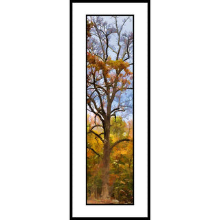 An autumn tree with yellow, orange, and brown leaves against a pale blue sky.  "Spooky" by Alison Thomas of Serenity Scenes Photography and Digital Art.