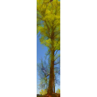 Spring Green - Vertical Panorama
