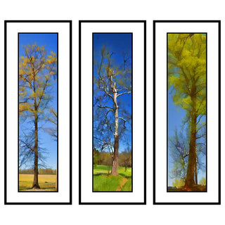 Spring Trees Grouping- Vertical Panorama Grouping