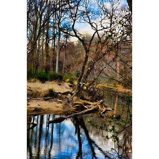 The bend of a stream in early winter.  There is still some green and fall leaves.  The bright blue sky is reflected in the water.  Stream Bend by Alison Thomas of Serenity Scenes Photography and Digital Art.