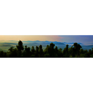 A set of trees looking like an audience for the sunrise in the mountains.  The Audience by Alison Thomas of SEerenity Scenes Photography and Digital Art.