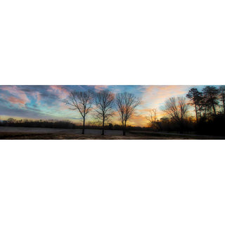 Three winter trees against a sunset.  Three Trees by Alison Thomas of Serenity Scenes Photography and Digital Art.
