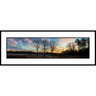 Three winter trees against a sunset.  Three Trees by Alison Thomas of Serenity Scenes Photography and Digital Art.