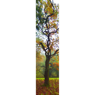 A tree with dark branches and autumn foliage in green, yellow, orange, and brown tones.  Twisted Branches by Alison Thomas of Serenity Scenes Photography and Digital Art.