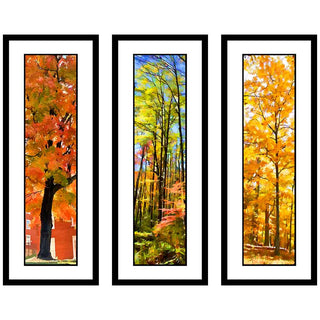 Fire Orange, Forest Splash, and Yellow Forest gouping with vibrant autumn images.  Virbrant Fall grouping by Alison Thomas of Serenity Scenes Photography and Digital Art.