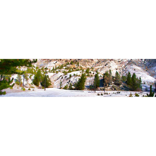 Trees on Mammoth Hot Springs in Yellowstone.&nbsp; Hot water through limestone creates this area.  White Hot Spring by Alison Thomas of Serenity Scenes Photography and Digital Art.