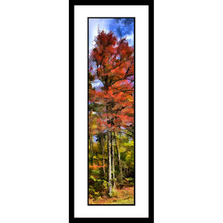 A tree in fall orange slightly tilted by the wind against blue cloudy sky.  Windblown Orange by Alison Thomas of Serenity Scenes Photography and Digital Art.