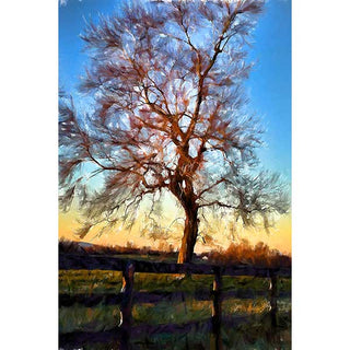 A red tree in the wind with a wooden fence and sunset sky.  Windblown Red by Alison Thomas of Serenity Scenes Photography and Digital Art.