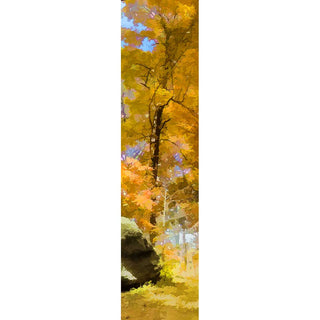 A brilliant yellow foliage tree next to a large rock.  "Yellow and Rock" by Alison Thomas of SerenityScenes Photography and Digital Art.