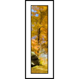 A brilliant yellow foliage tree next to a large rock.  "Yellow and Rock" by Alison Thomas of SerenityScenes Photography and Digital Art.