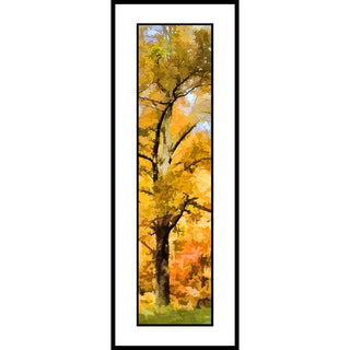 An image depicting an autumn tree with golden yellow, orange, and brown foliage against a pale sky.  "Yellow Branches" by Alison Thomas of Serenity Scenes Photography and Digital Art.