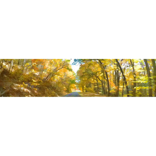 This beautiful yellow tree lined road is captured in stunning horizontal panorama. The bright yellow colors of autumn are vibrant against the fantastic scenery, creating a tranquil setting. Perfect for any room.  Yellow Road by Alison Thomas of Serenity Scenes Photography and Digital Art.
