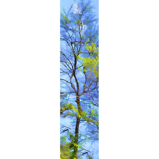 A thin tree with a few yellow leaves left.  Yellow Splotches by Alison Thomas of Serenity Scenes Photography and Digital Art.