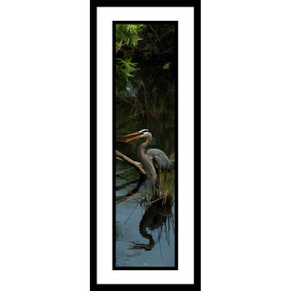 A great blue heron perches on a patch of reeds in the wetlands, its open beak a bright orange against the muted blues, brown, and green. The rippling water reflects its shape. Anhinga Trail Blue by Alison Thomas of Serenity Scenes Photography and Digital Art