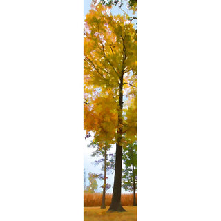 This beautiful vertical panorama "Autumn Colors" features vibrant hues of orange, yellow, and green to evoke the feeling of early autumn. The perfect wall-hanging to celebrate the season, this panorama evokes the sights and energy of the changing leaves.  Autumn Colors by Alison Thomas of Serenity Scenes Photography and Digital Art.