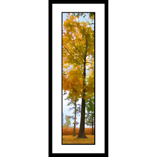 This beautiful vertical panorama "Autumn Colors" features vibrant hues of orange, yellow, and green to evoke the feeling of early autumn. The perfect wall-hanging to celebrate the season, this panorama evokes the sights and energy of the changing leaves. Autumn Colors by Alison Thomas of Serenity Scenes Photography and Digital Art.