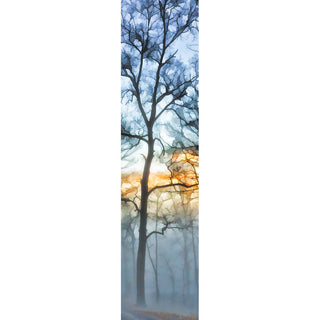 A bare tree emerges out of the morning fog covering this forest. A bright stripe of orange crosses the blue sky above. The bright light glows, caught in the fog, and illuminates the tree's silhouette. Blue Fog by Alison Thomas of Serenity Scenes Photography and Digital Art.