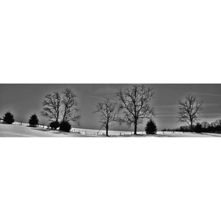 A winter field at dusk. White snow blankets the hillside. Bare trees and full evergreen shrubs stand out stark black against the gray sky and cast evening shadows on the snowy ground. A streak of white light crosses the sky above. You can almost feel the crisp, cold air. Cold in Black and White by Alison Thomas of Serenity Scenes Photography and Digital Art
