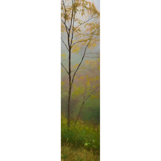 A thin tree with yellow leaves partially obscured by fog.  Delicate Yellow by Alison Thomas of Serenity Scenes Photography and Digital Art.