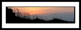 Sea oats on a hillside turn to dark silhouettes at sunrise. Soft lines of purple, pink, and yellow color the sky. Dune Grass Sunrise by Alison Thomas of Serenity Scenes Photography and Digital Art.