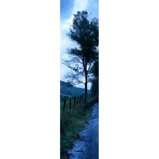 A small tree next to a country road silhouetted against the light morning sky.  The tree, the grass, the road, and beyond them, the rolling mountains, are still dark with green and blue shadows.  Early Morning Rain by Alison Thomas of Serenity Scenes Photography and Digital Art.
