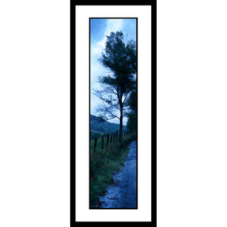A small tree next to a country road silhouetted against the light morning sky. The tree, the grass, the road, and beyond them, the rolling mountains, are still dark with green and blue shadows. Early Morning Rain by Alison Thomas of Serenity Scenes Photography and Digital Art.
