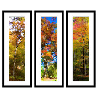 Orange Woods, Old Orange, and Fire Canopy in the Fall Oranges grouping by Alison Thomas of Serenity Scenes Photography and Digital Art.