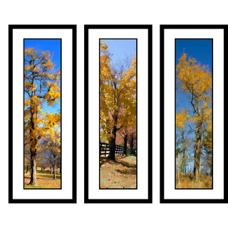 Blue Sky Yellow, Three Trees, and Puffs in Yellow in the Fall Yellows 2 grouping by Alison Thomas of Serenity Scenes Photography and Digital Art.