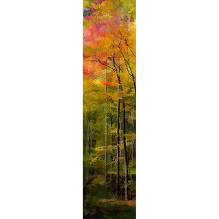 Light shines through brilliant red and orange autumn leaves, blending them together like watercolors and turning them into a flickering fire atop tall, slender trees. Fire Canopy by Alison Thomas of Serenity Scenes Photography and Digital Art.