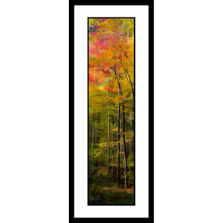 Light shines through brilliant red and orange autumn leaves, blending them together like watercolors and turning them into a flickering fire atop tall, slender trees. Fire Canopy by Alison Thomas of Serenity Scenes Photography and Digital Art.