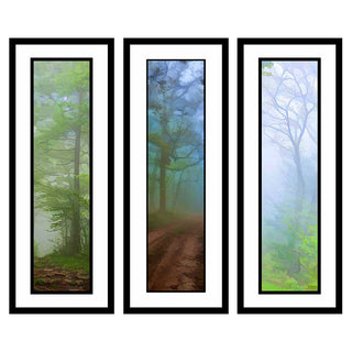 A Walk in the Fog, Uncertain Path, and Purple Fog in the Foggy Scenes grouping by Alison Thomas of Serenity Scenes Photography and Digital Art.