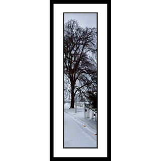 Fresh snow blankets a country road. A bare tree, the geometric shapes of stained glass amongst its thin branches, stands beside an open gate leading to an estate. The white fence connected to the gate extends into the distance. Two brown leaves in a tire track are the only color in the scene. Fresh Snow by Alison Thomas of Serenity Scenes Photography and Digital Art.