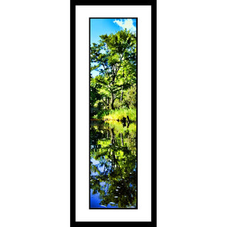 The only time I have ever gotten my husband in a canoe. He paddled, I photographed. A green tree, the foliage around it, and the brilliant blue sky above reflected in a clear lake. The stumps off to one side look like bears... almost. Green Reflection by Alison Thomas of Serenity Scenes Photography and Digital Art.