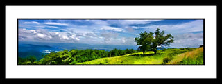 It's a beautiful summer day cooled by a light breeze and fluffy white clouds in a meadow that begs you to run through it (but it does get kind of steep at the end so don't). The warm greens of summer bathe the trees and grass, and the hills and valley beyond turn a rich blue. Hillside Trees by Alison Thomas of Serenity Scenes Photography and Digital Art.
