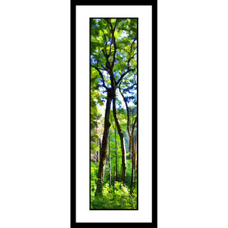 Two tall trees lean together, so that their their highest branches intertwine, separate and interconnected all at once. Sunlight suffuses the scene, green summer leaves on all the trees. Intertwined by Alison Thomas of Serenity Scenes Photography and Digital Art.