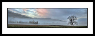Mist lays across a field, obscuring the mountains behind it. A single bare tree stands out agains the white mist. The sunrise paints the cloudy sky above shades of pink and blue. Lone Tree Sunrise by Alison Thomas of Serenity Scenes Photography and Digital Art.