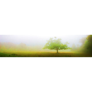 A lone tree nearly obscured by fog. Shades of light yellw and light green. You can feel the mist in the air. Mystic Tree by Alison Thomas of Serenity Scenes Photography and Digital Art.