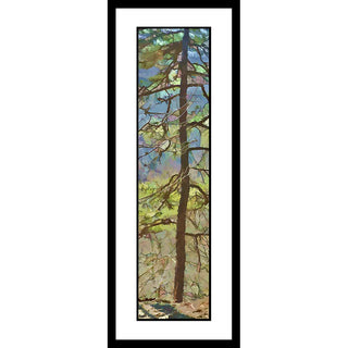 Early spring and mountain colors showing through the sparse branches of a pine tree. Pastel Pine by Alison Thomas of Serenity Scenes Photography and Digital Art.