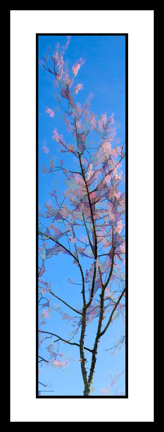 Pink and Blue- Vertical Panorama