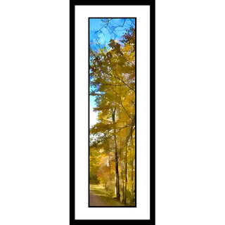 Thin, golden trees cluster together at the side of the road, abounding with autumn foliage. Their vibrant leaves stand out against the splash of bright blue sky above. Roadside Yellow by Alison Thomas of Serenity Scenes Photography and Digital Art.