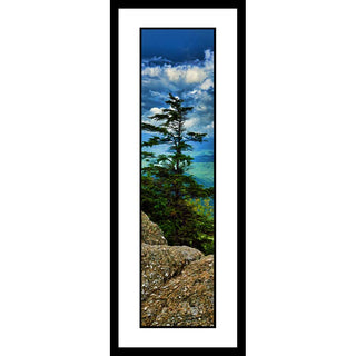 An evergreen tree on the mountain side stands tall, framed by the lichen-covered rocks before it, the valley below it, the mountains beyond, and bright white clouds above. Sky Tree by Alison Thomas of Serenity Scenes Photography and Digital Art