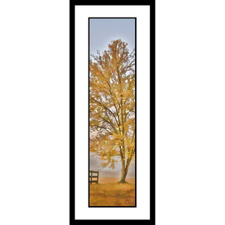 A single autumn tree stands in a field, gold leaves over gold grass. On one side the edge of a country fence peeks into view. Gray fog shrouds the landscape beyond. Solitude by Alison Thomas of Serenity Scenes Photography and Digital Art.