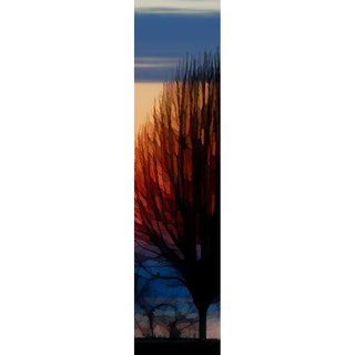 A stripe of deep red shines through the whisper-thin, bountiful branches of a tree, lines of purple and blue framing it above and below.  Sun Fire Tree by by Alison Thomas of Serenity Scenes Photography and Digital Art