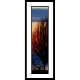 A stripe of deep red shines through the whisper-thin, bountiful branches of a tree, lines of purple and blue framing it above and below. Sun Fire Tree by by Alison Thomas of Serenity Scenes Photography and Digital Art
