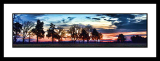 Dark clouds from the night's storms make way for a brilliant sunrise behind a row of trees. Sunrise Clouds by Alison Thomas of Serenity Scenes Photography and Digital Art.